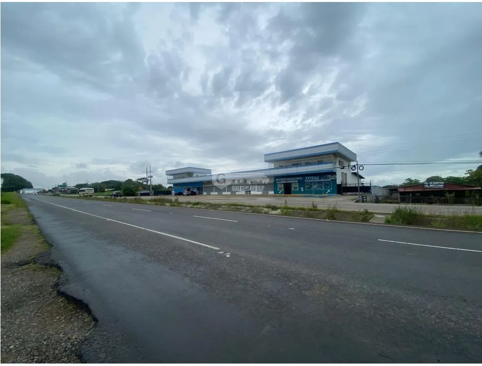 SE VENDE TERRENO PLANO 2146M EN PENONOME FRENTE A VIA INTERAMERICANA