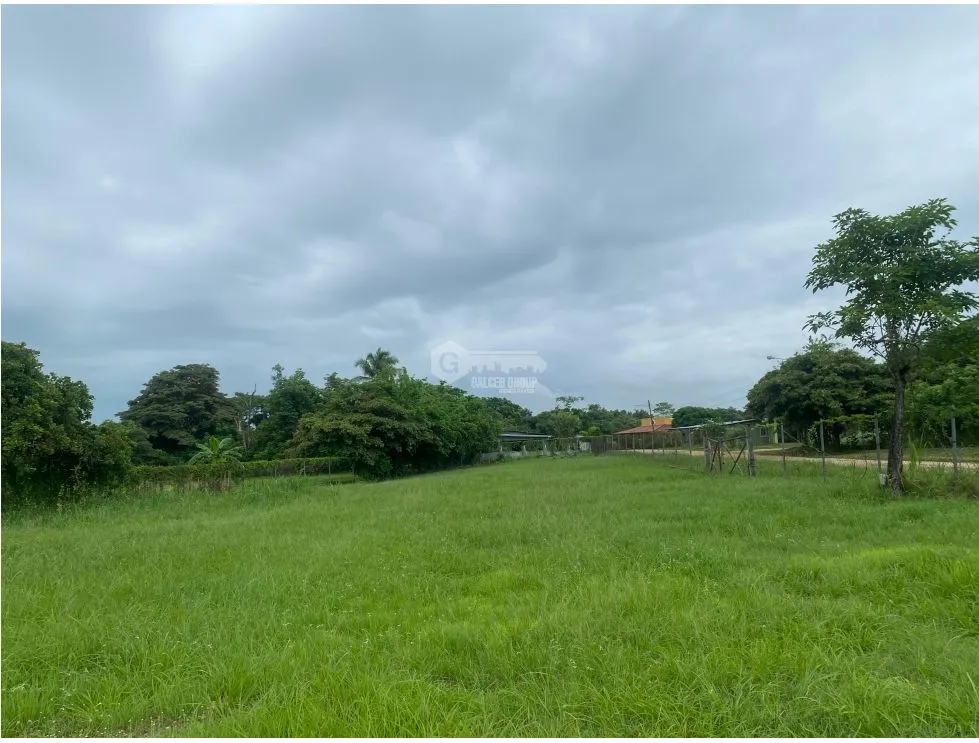 SE VENDE TERRENO PLANO 2146M EN PENONOME FRENTE A VIA INTERAMERICANA
