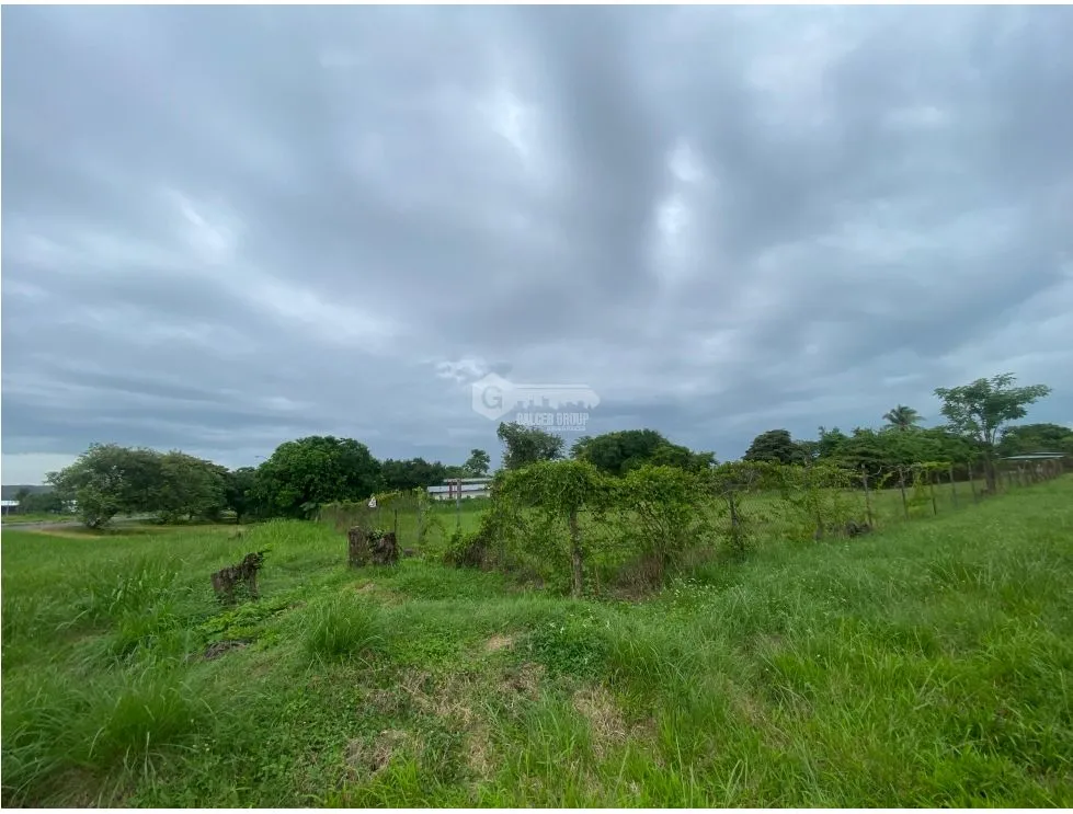 SE VENDE TERRENO PLANO 2146M EN PENONOME FRENTE A VIA INTERAMERICANA