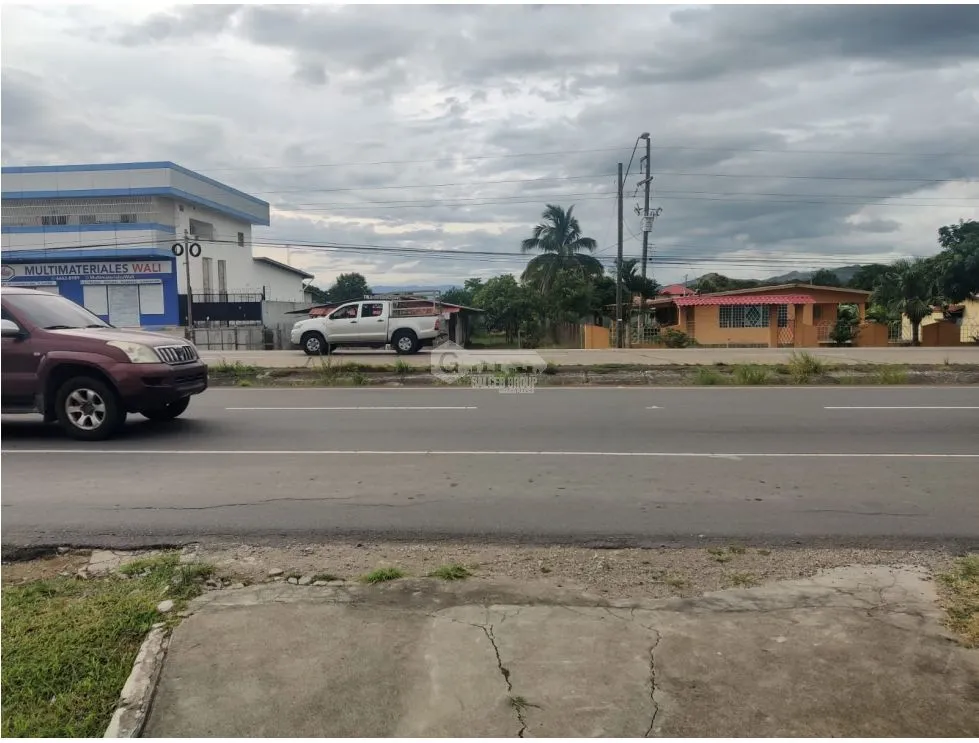 SE VENDE TERRENO PLANO 2146M EN PENONOME FRENTE A VIA INTERAMERICANA