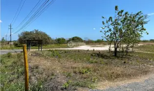 Building Lot for sale in San Carlos