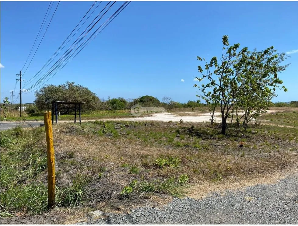 FLAT LAND FOR SALE IN SAN CARLOS FACING THE INTERAMERICAN HIGHWAY