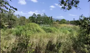 Building Lot for sale in Chame