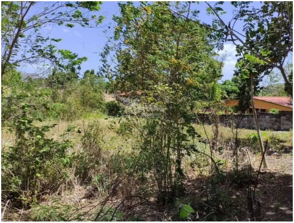 Land for Sale in Chame - Ideal for Development on the Inter-American Highway