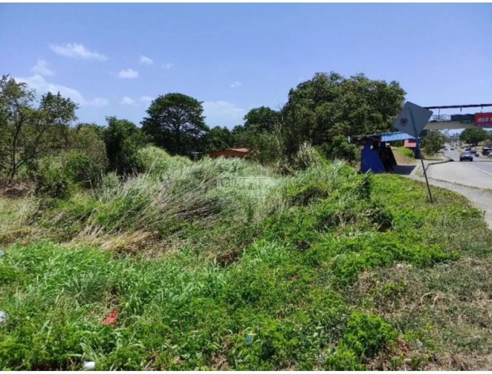 Land for Sale in Chame - Ideal for Development on the Inter-American Highway