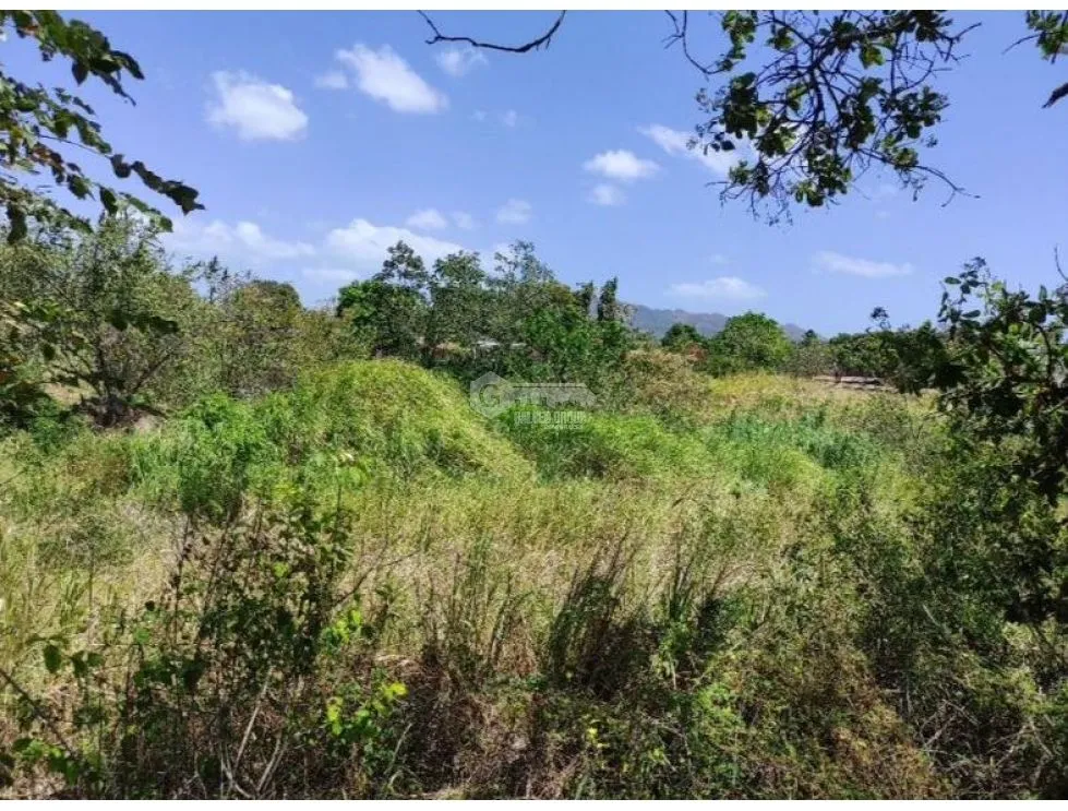 Land for Sale in Chame - Ideal for Development on the Inter-American Highway