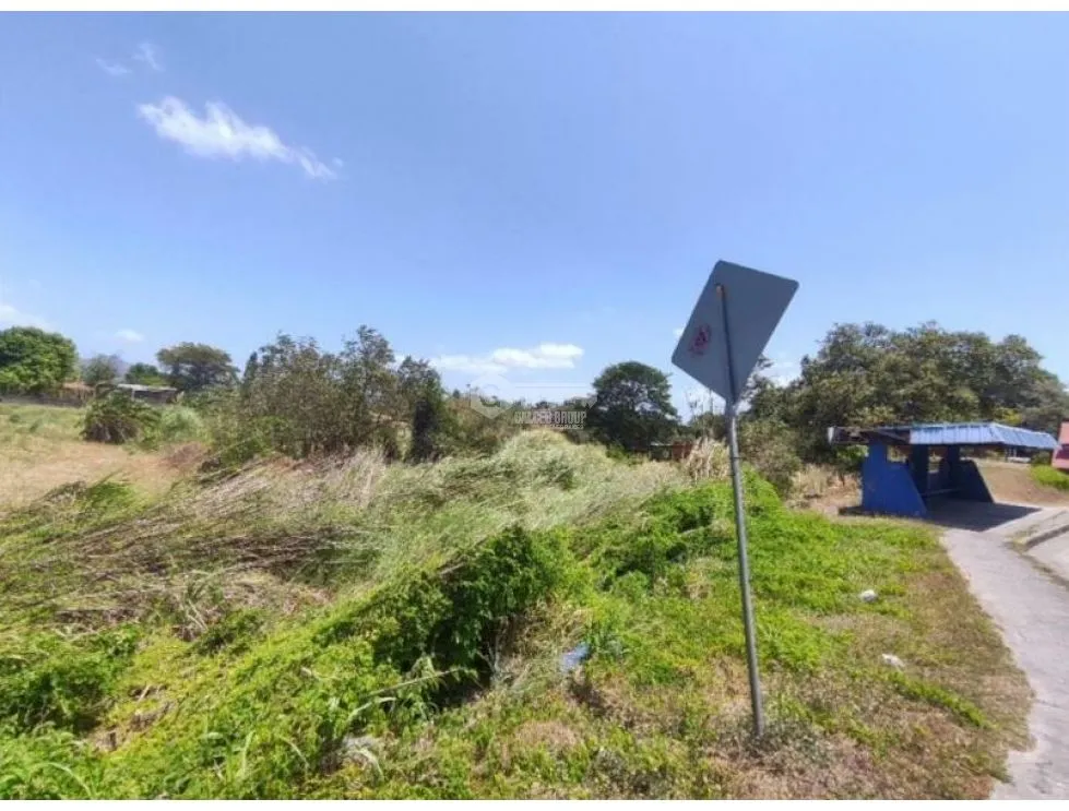 Land for Sale in Chame - Ideal for Development on the Inter-American Highway