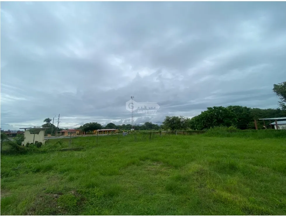 PENONOME / TERRENO PLANO / 2146M / FRENTE A VIA INTERAMERICANA