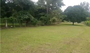 建筑很多 在 San Carlos 出售