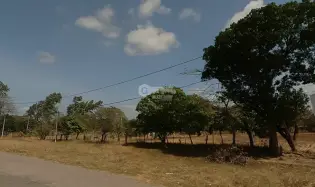 1.6 HECTARE LAND FOR SALE IN COCLÉ NATA ON THE INTER-AMERICAN HIGHWAY