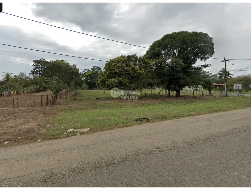 建筑很多 在 Cocle 出售