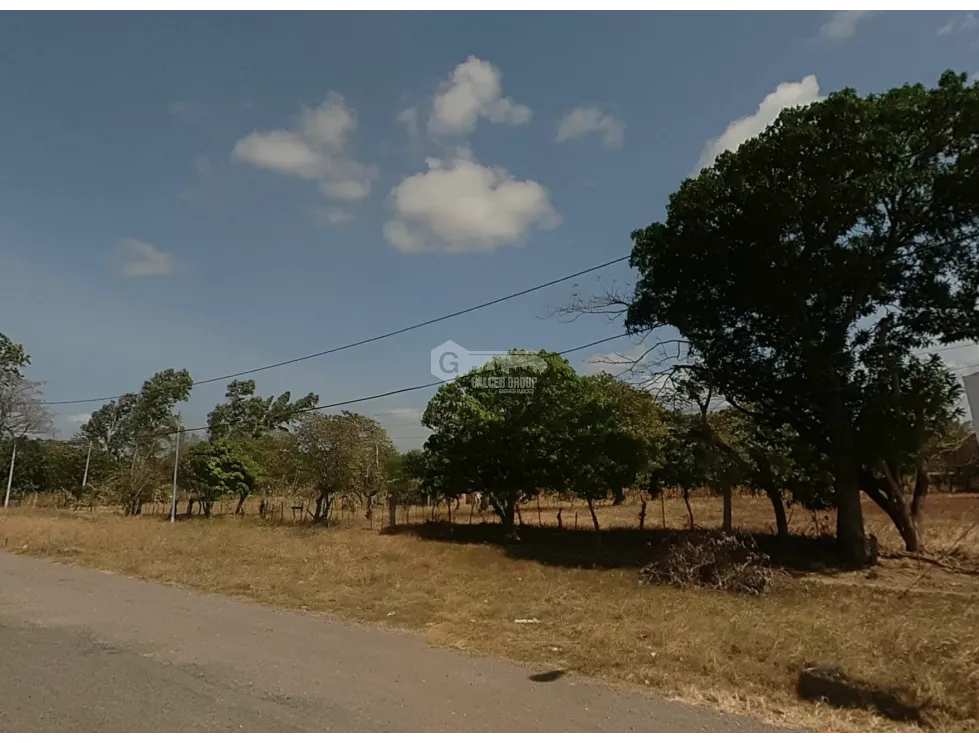 建筑很多 在 Cocle 出售
