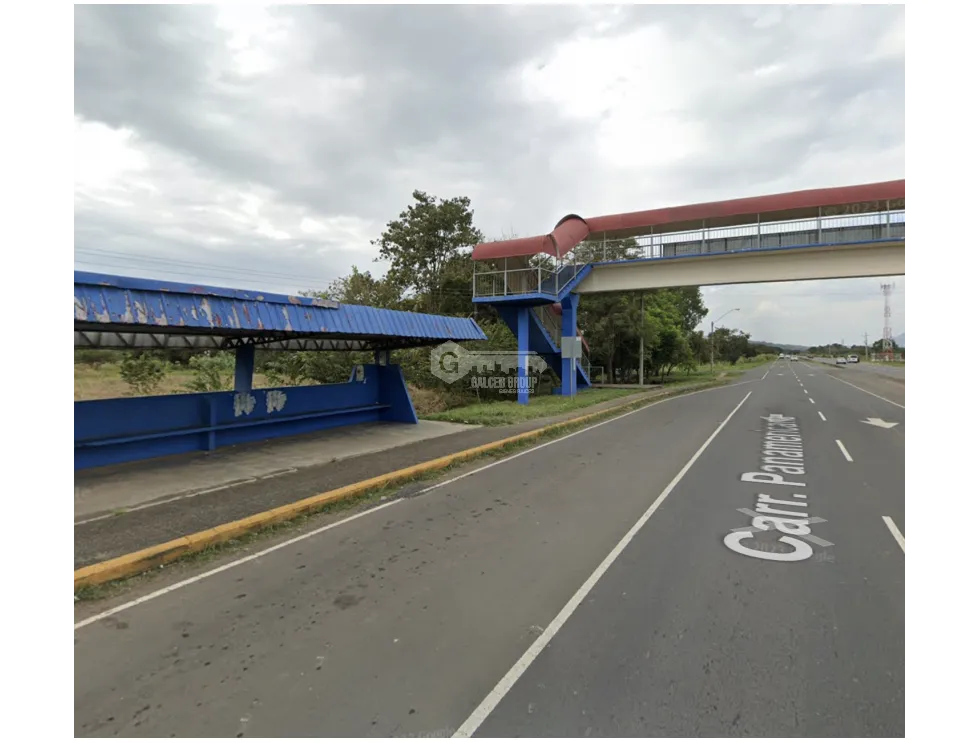 SE VENDE TERRENO 25 HECTAREAS COCLE EL CAÑO CERCA DE INTERAMERICANA