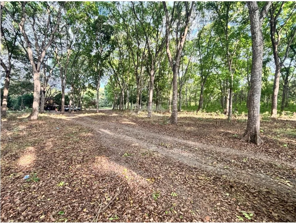 Building Lot for sale in Chame