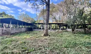 FINCA / GORGONA / 5 HECTAREA / INTERAMERICANA PRINCIPAL / CERCA AL MAR