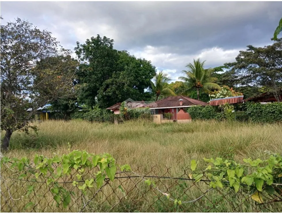 LAS LAJAS / CHAME / 1040 M / TERRENO PLANO / BOHIO / CERCA DE PLAYA AG