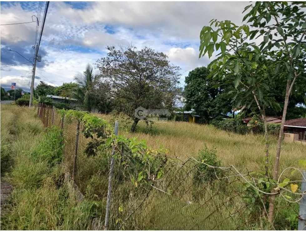 LAS LAJAS / CHAME / 1040 M / TERRENO PLANO / BOHIO / CERCA DE PLAYA AG