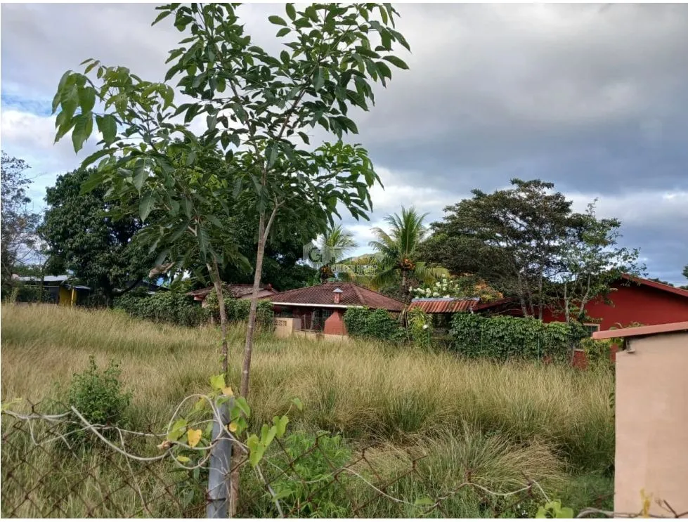 LAS LAJAS / CHAME / 1040 M / TERRENO PLANO / BOHIO / CERCA DE PLAYA AG