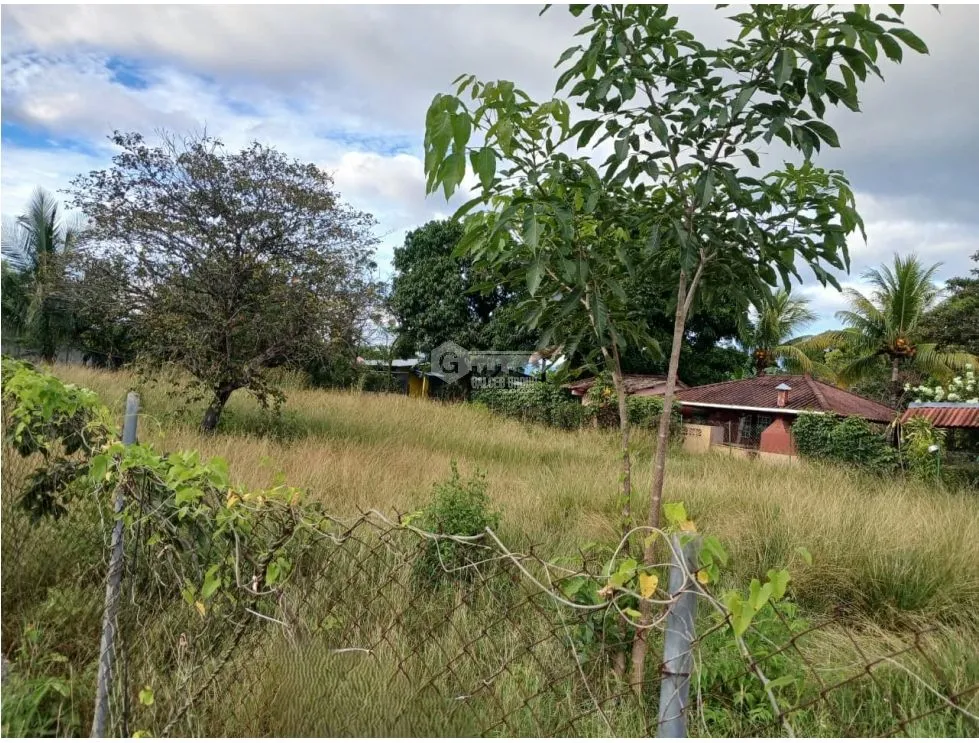 LAS LAJAS / CHAME / 1040 M / TERRENO PLANO / BOHIO / CERCA DE PLAYA AG