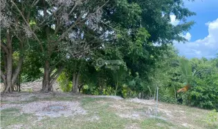 LAS GUIAS / COCLE / 8244 M / NEAR PANAMERICANA / BEACH PROPERTY