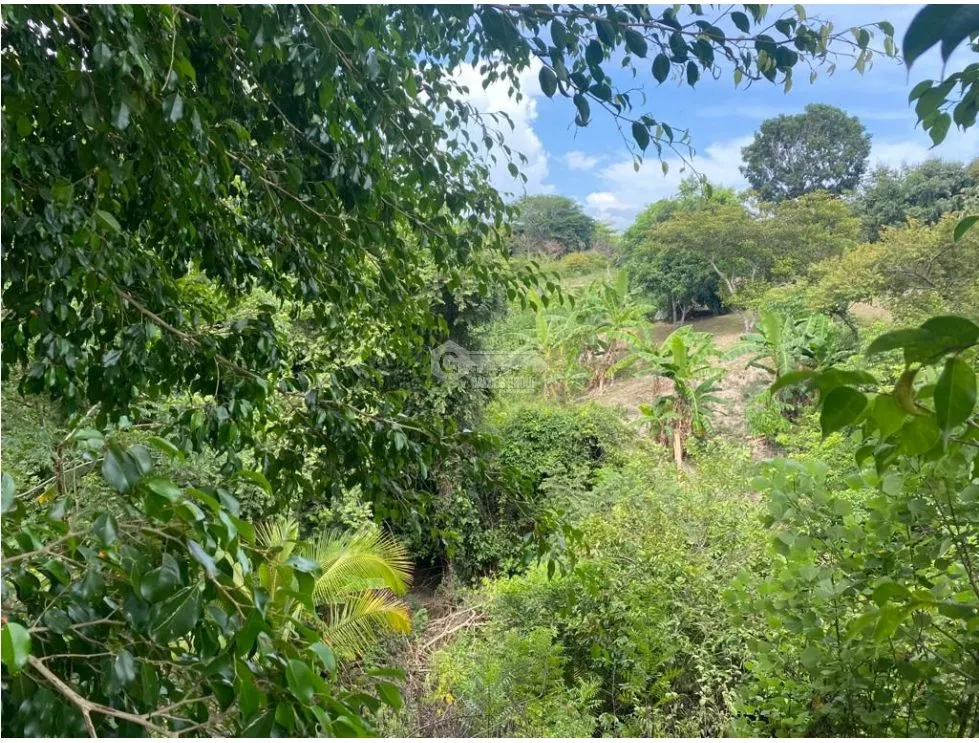 LAS GUIAS / COCLE / 8244 M / NEAR PANAMERICANA / BEACH PROPERTY