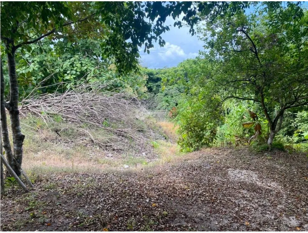 LAS GUIAS / COCLE / 8244 M / NEAR PANAMERICANA / BEACH PROPERTY