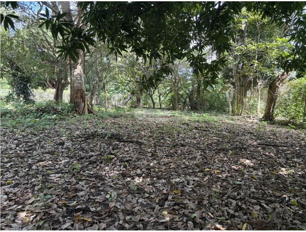 Building Lot for sale in Chame