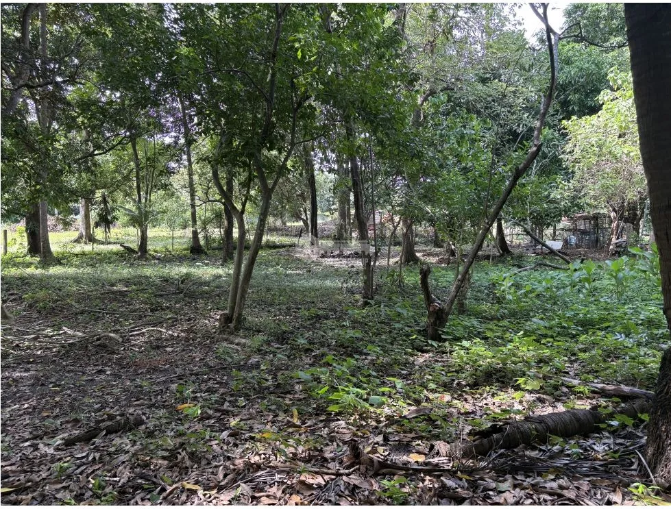 Building Lot for sale in Chame