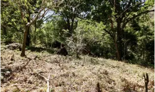 Building Lot for sale in Chame