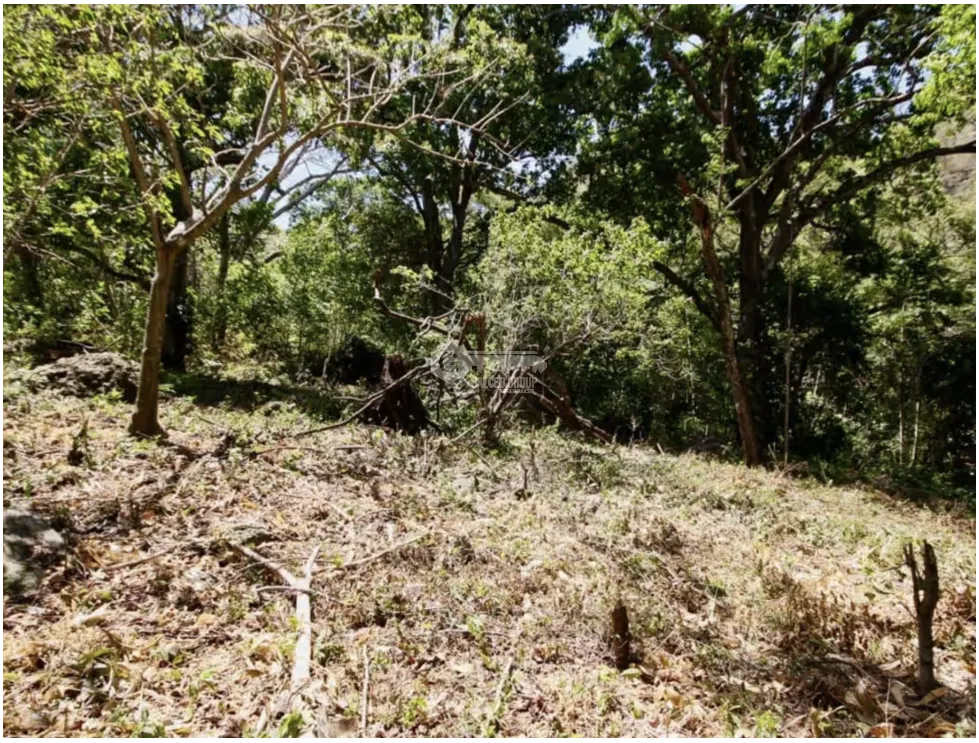 LAND / ALTOS DEL MARIA / 2455M / MOSTLY FLAT / COOL CLIMATE