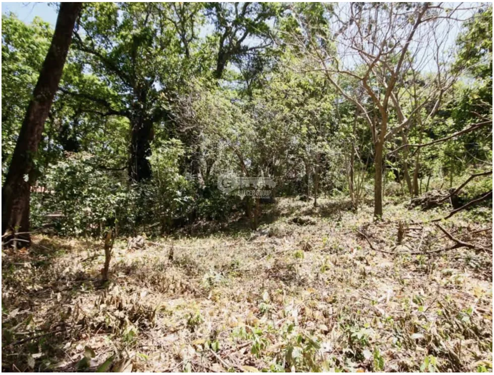 LAND / ALTOS DEL MARIA / 2455M / MOSTLY FLAT / COOL CLIMATE