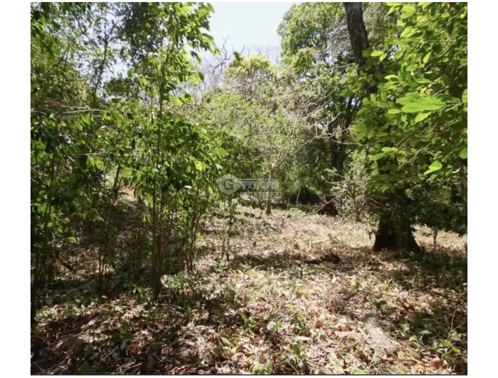 LAND / ALTOS DEL MARIA / 2455M / MOSTLY FLAT / COOL CLIMATE