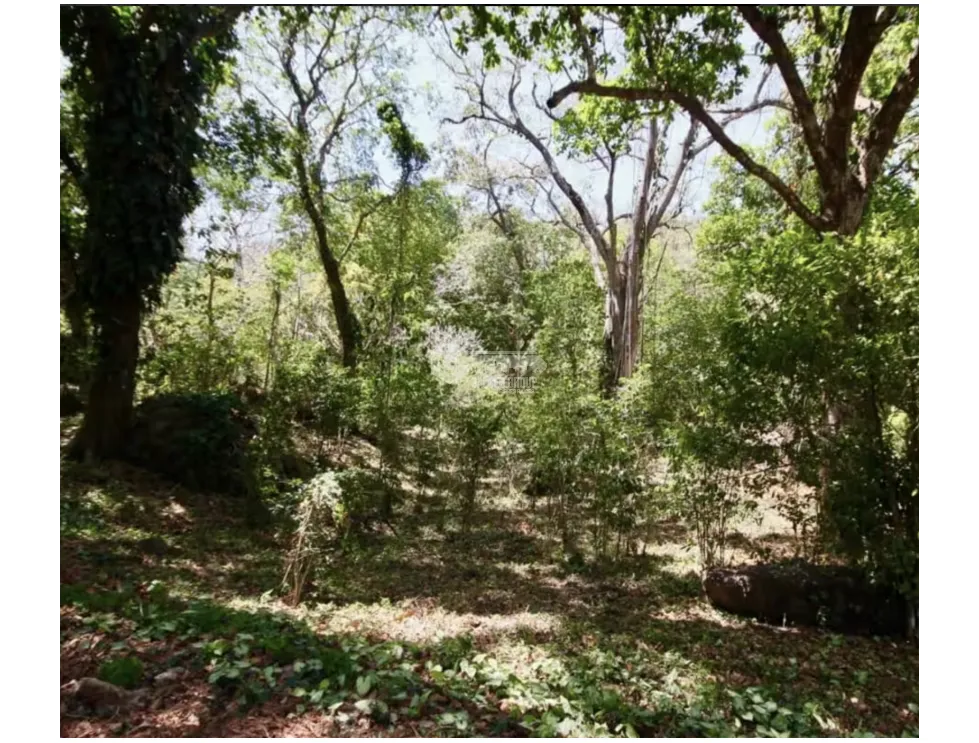 LAND / ALTOS DEL MARIA / 2455M / MOSTLY FLAT / COOL CLIMATE