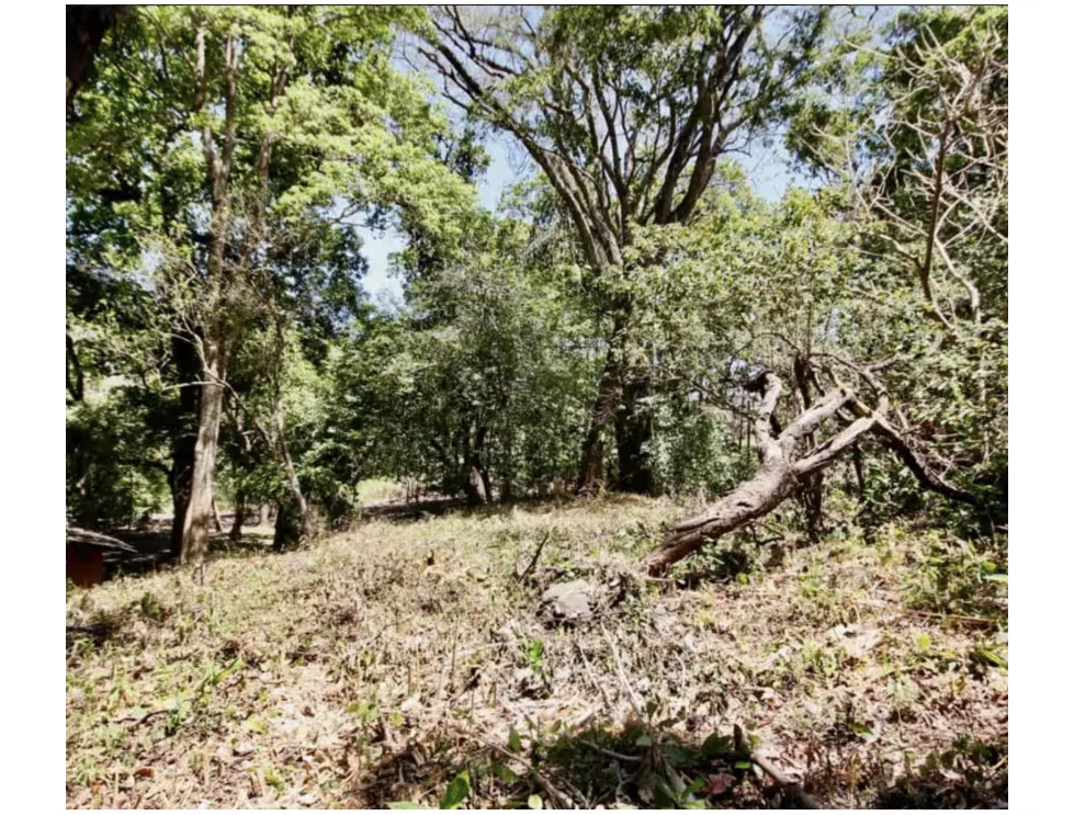 LAND / ALTOS DEL MARIA / 2455M / MOSTLY FLAT / COOL CLIMATE