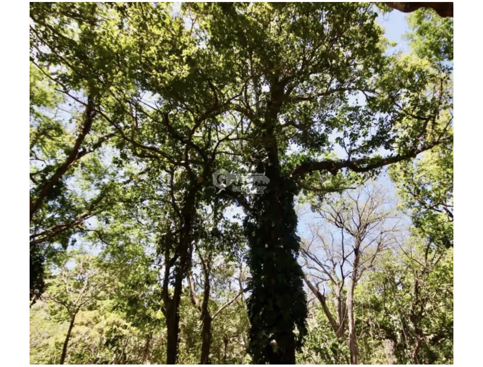 LAND / ALTOS DEL MARIA / 2455M / MOSTLY FLAT / COOL CLIMATE