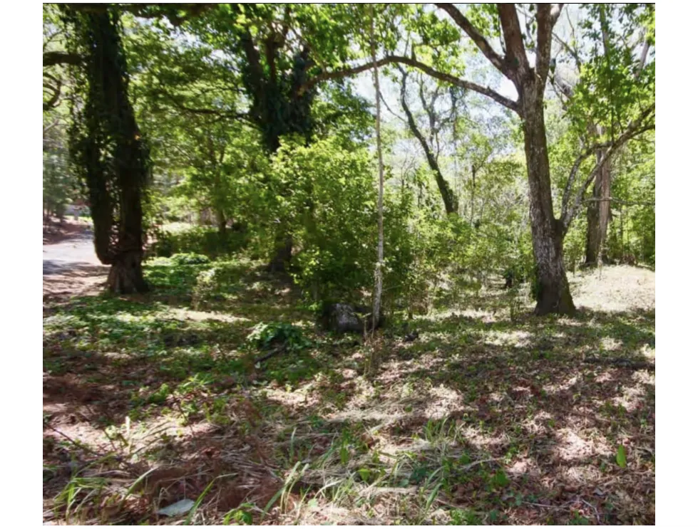 LAND / ALTOS DEL MARIA / 2455M / MOSTLY FLAT / COOL CLIMATE