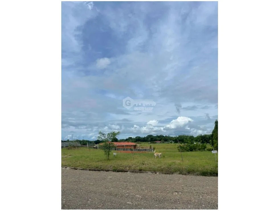 San Carlos / Quebradas del Valle / 812M / Flat Terrain / Social Area