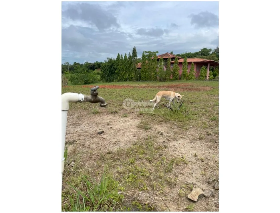 San Carlos / Quebradas del Valle / 812M / Flat Terrain / Social Area