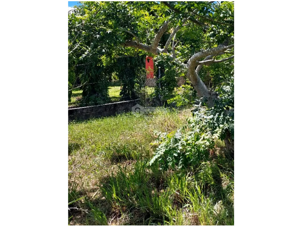 San Carlos / Quebradas del Valle / 812M / Flat Terrain / Social Area