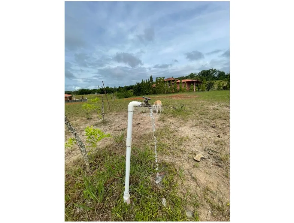San Carlos / Quebradas del Valle / 812M / Flat Terrain / Social Area
