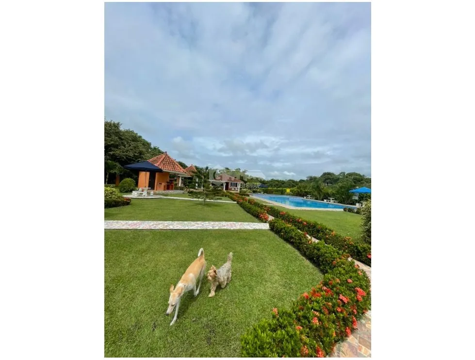 San Carlos / Quebradas del Valle / 812M / Flat Terrain / Social Area