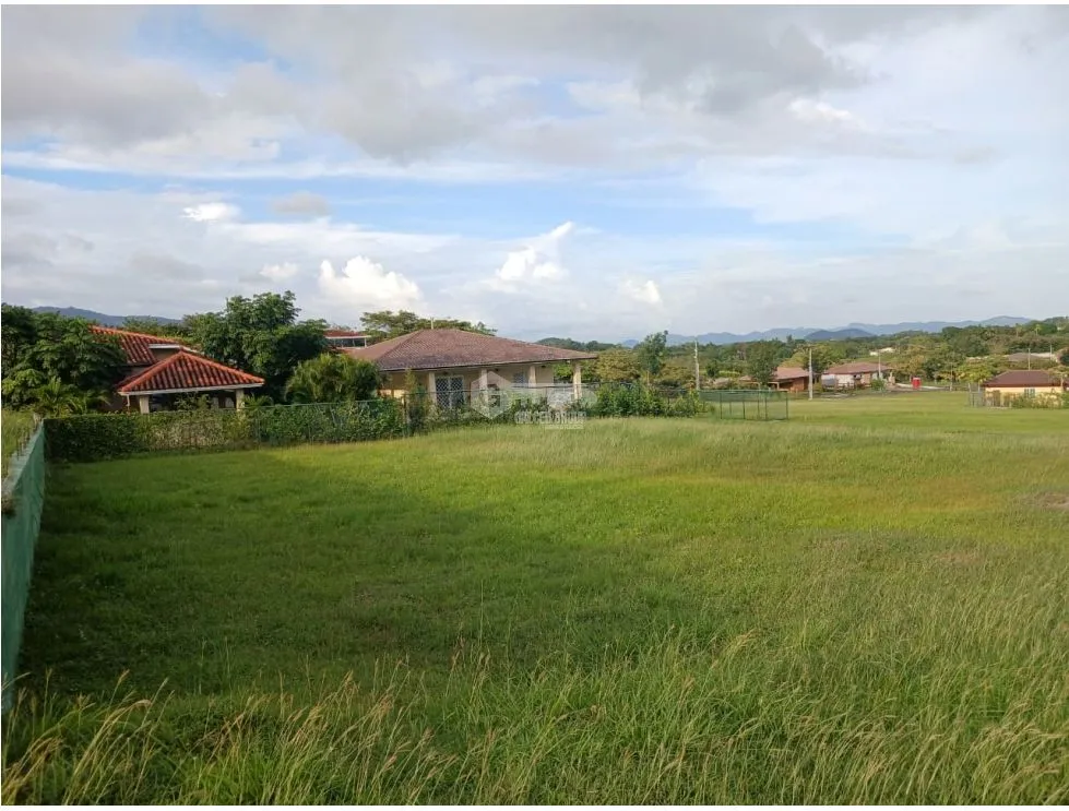 CHAME / EL CELAJE / FLAT LOT / 708 M / AG