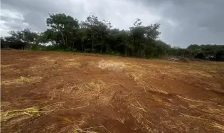 VÍA PUERTO CAIMITO / CHORRERA / 54000M / PARA DESARROLLO INMOBILIARIO