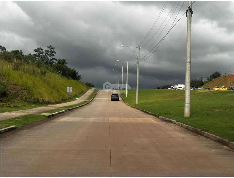 VÍA PUERTO CAIMITO / CHORRERA / 54000M / PARA DESARROLLO INMOBILIARIO