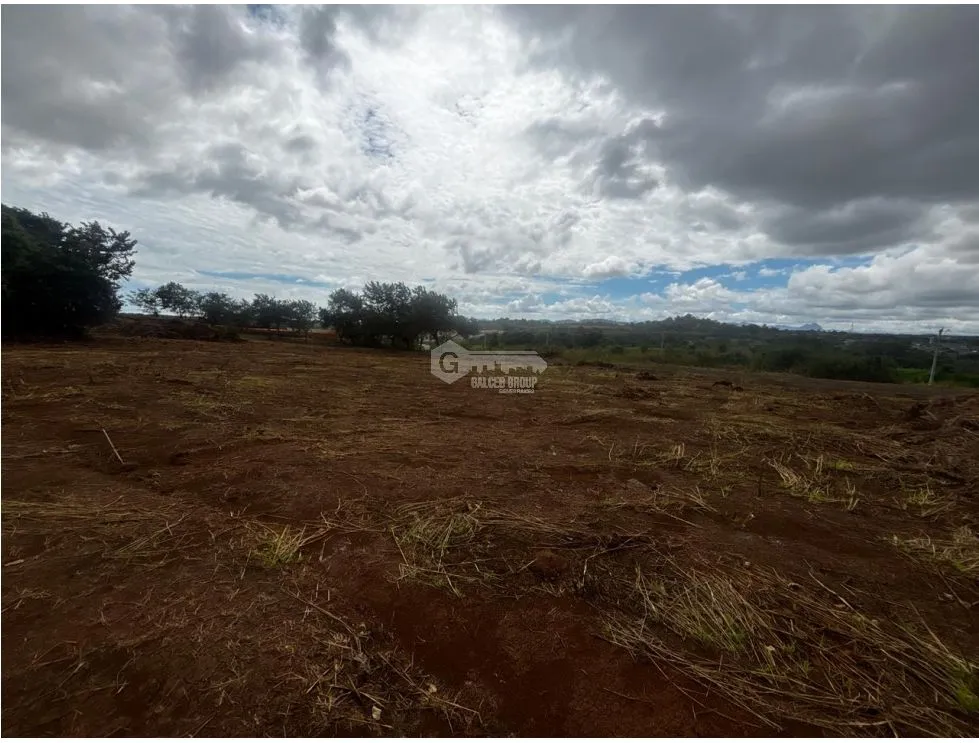 VÍA PUERTO CAIMITO / CHORRERA / 54000M / PARA DESARROLLO INMOBILIARIO