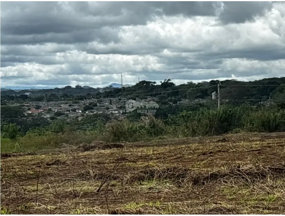 VÍA PUERTO CAIMITO / CHORRERA / 54000M / PARA DESARROLLO INMOBILIARIO