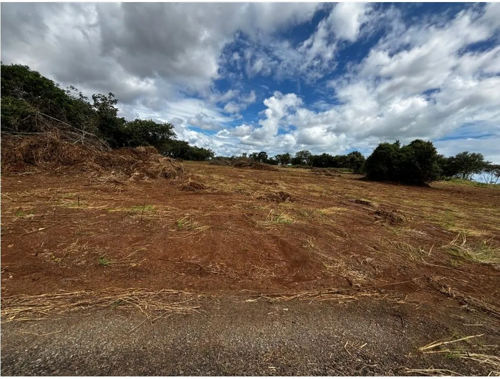 VÍA PUERTO CAIMITO / CHORRERA / 54000M / PARA DESARROLLO INMOBILIARIO