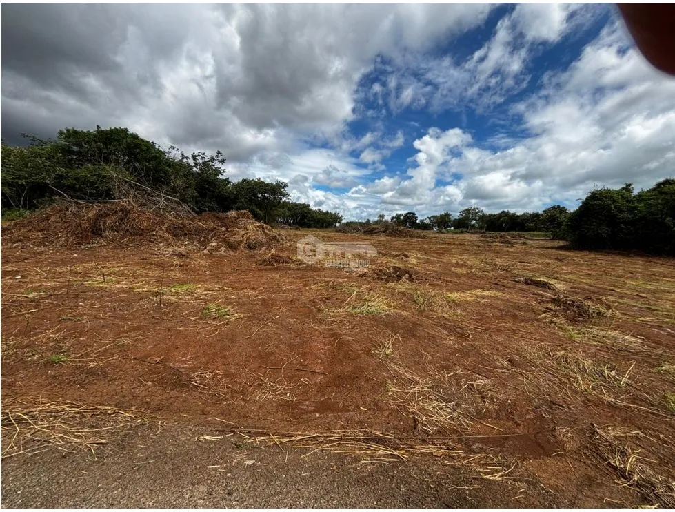VÍA PUERTO CAIMITO / CHORRERA / 54000M / PARA DESARROLLO INMOBILIARIO