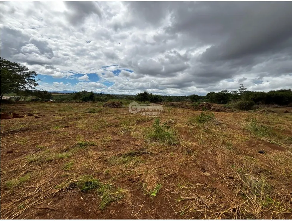 VÍA PUERTO CAIMITO / CHORRERA / 54000M / PARA DESARROLLO INMOBILIARIO