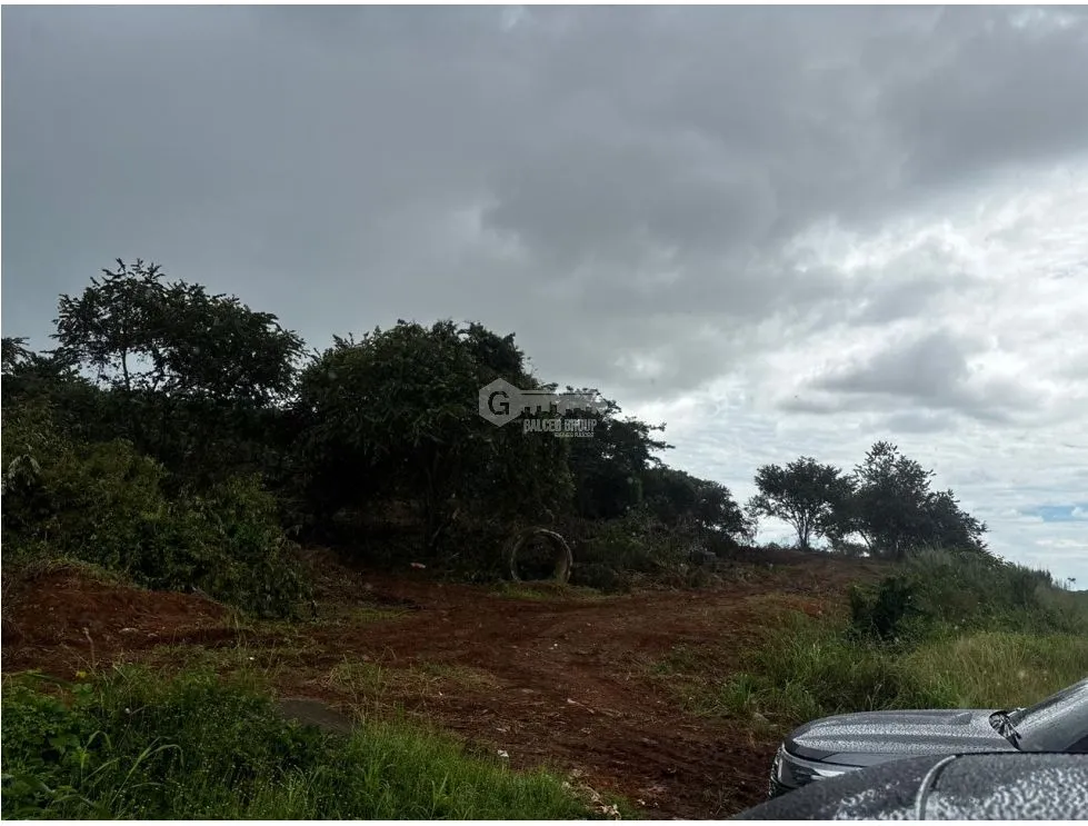 VÍA PUERTO CAIMITO / CHORRERA / 54000M / PARA DESARROLLO INMOBILIARIO